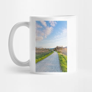 Kettle Valley Rail Trail Springtime Mug